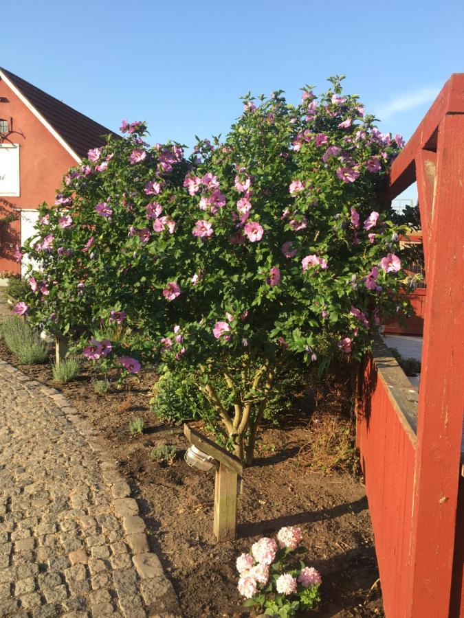 Hos Mette Børkop Exterior foto